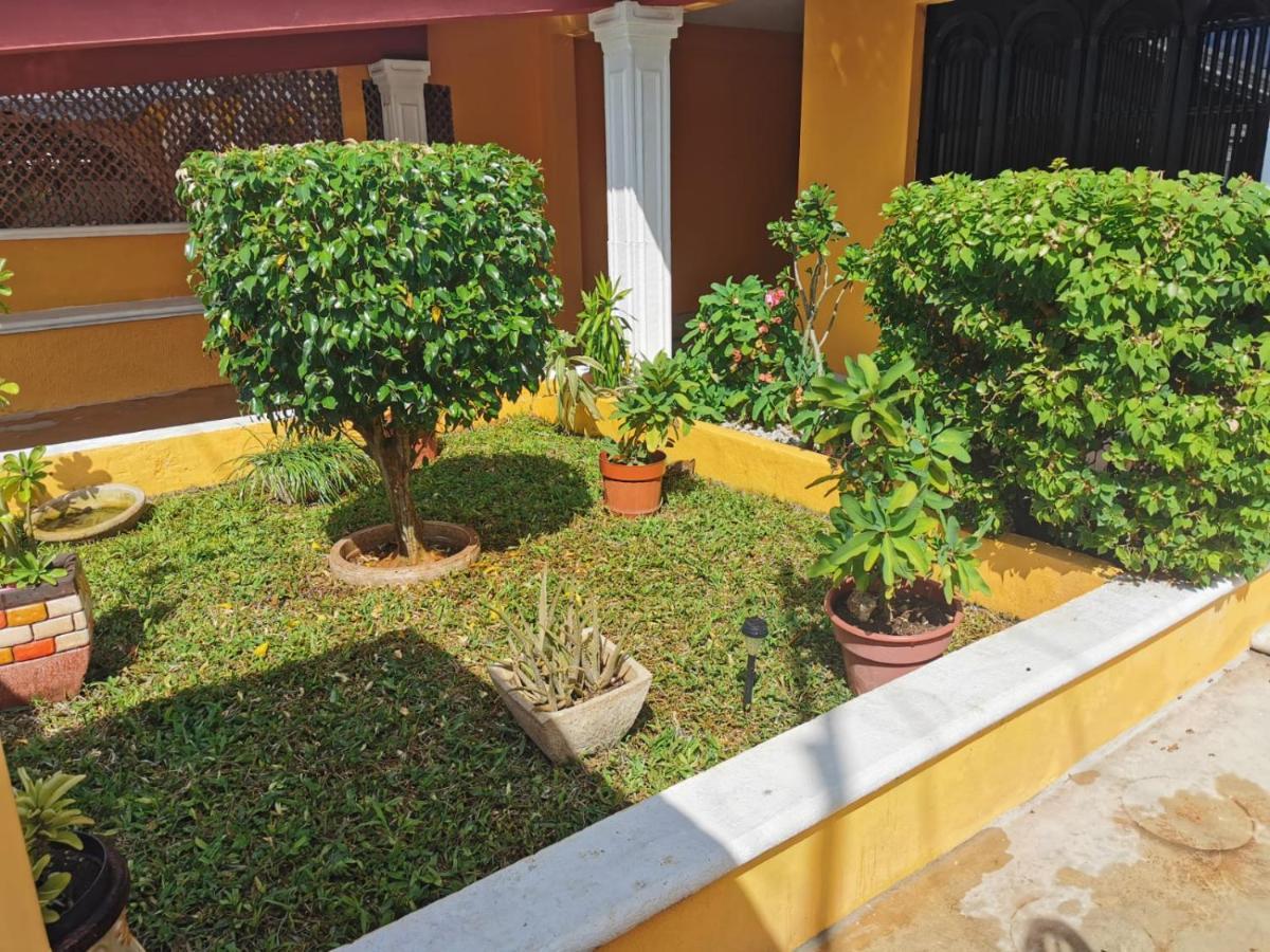 Casa Balfre Villa Mérida Dış mekan fotoğraf